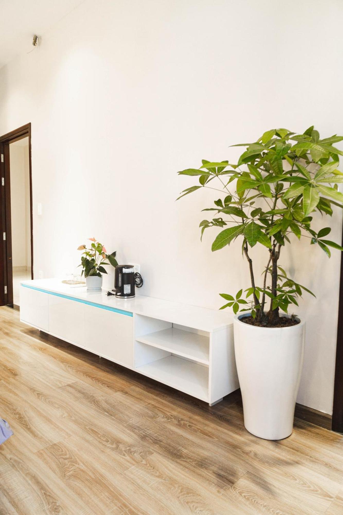 Отель Shalom House _ Баолок Экстерьер фото